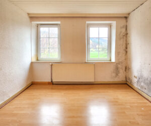 Ehemaliges Bauernhaus mit Pferdestall in Mannebach nahe Luxemburg zum Verkauf